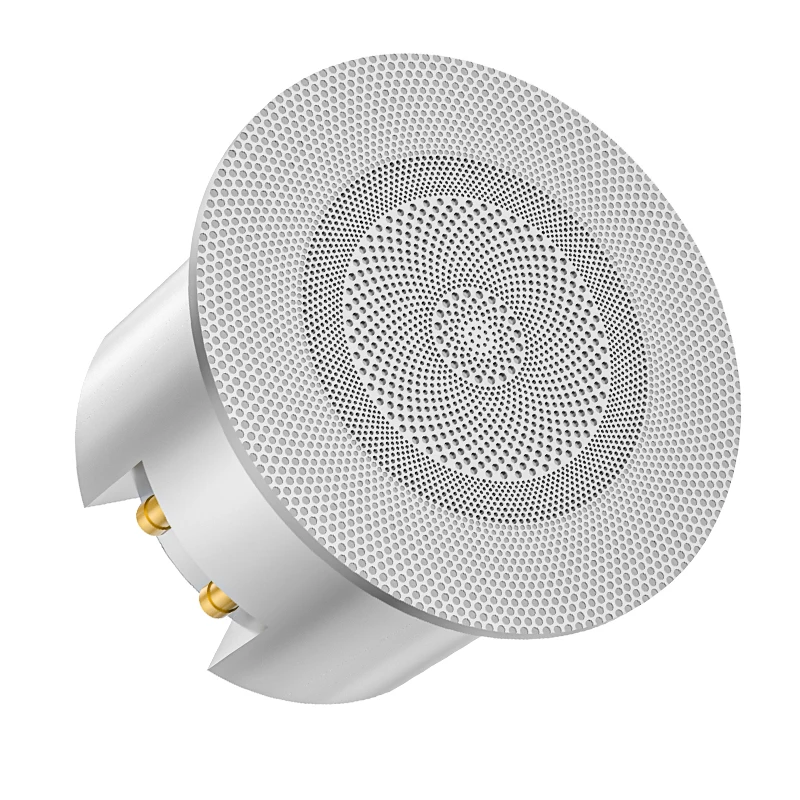 Factory Supplied Professional Sound System Large Power Ceiling for Bluetooth Speaker Original Sound Equipment for Mobile Phones