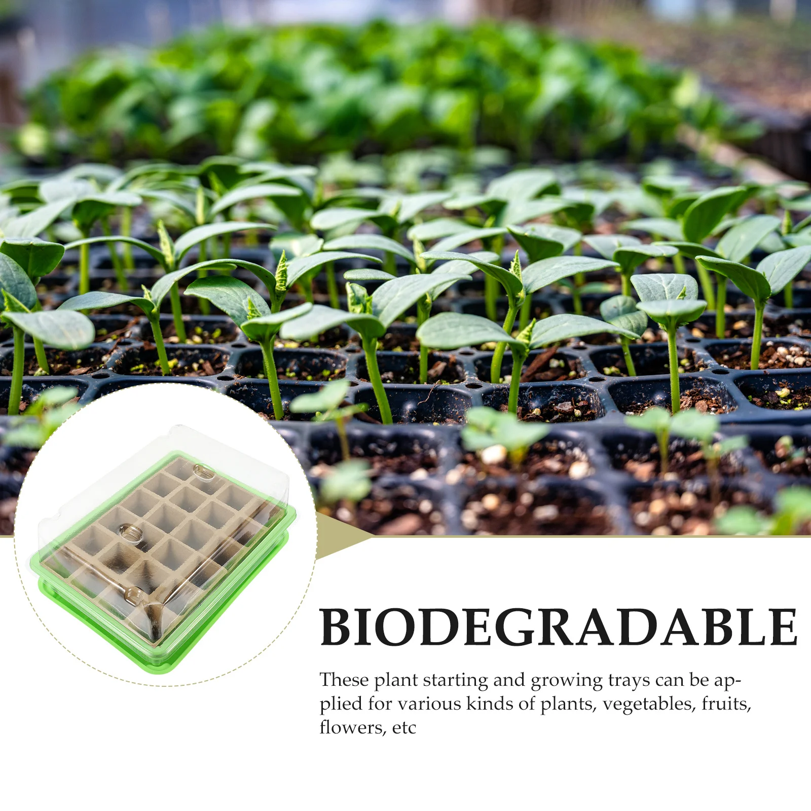 

2 set Sowing Trays Set Germination Tray For Plants Starter Growing Kit Indoor Outdoor Garden Tool Planting Cups Seedling Starter