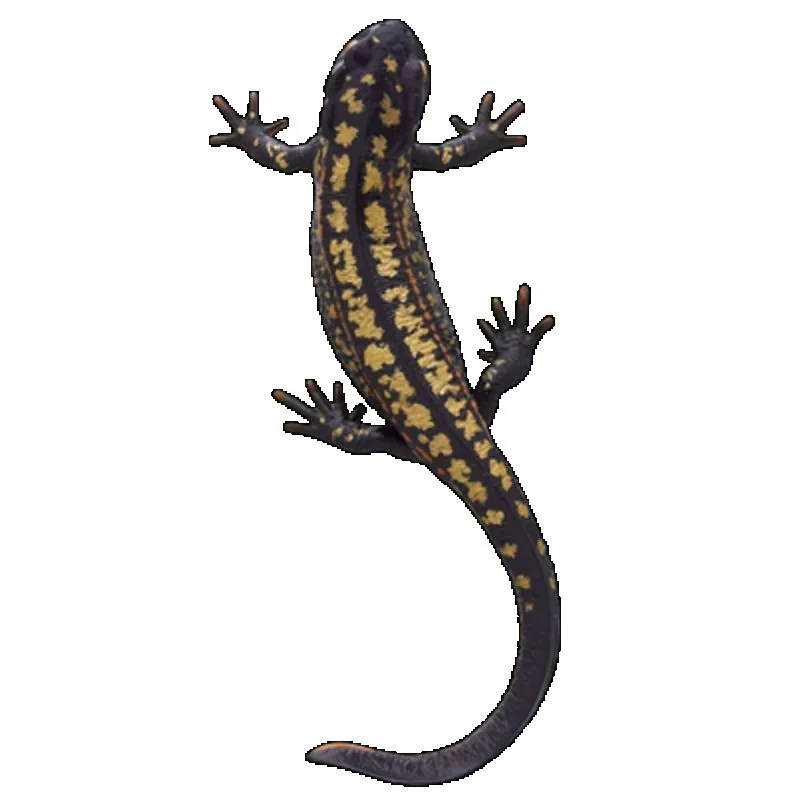 Originale KITAN CLUB Gashapon Salamander Lizard Qversion Anime Action Figure Model Toy Gift Cartoon Character Collection Pendant