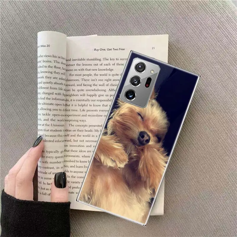 Yorkshire terrier dog Phone Case For Samsung S24 S23 S22 Ultra Fundas S21 Plus Galaxy S20 FE S10 Lite S10E S9 S8 S7 S6 Edge Cove