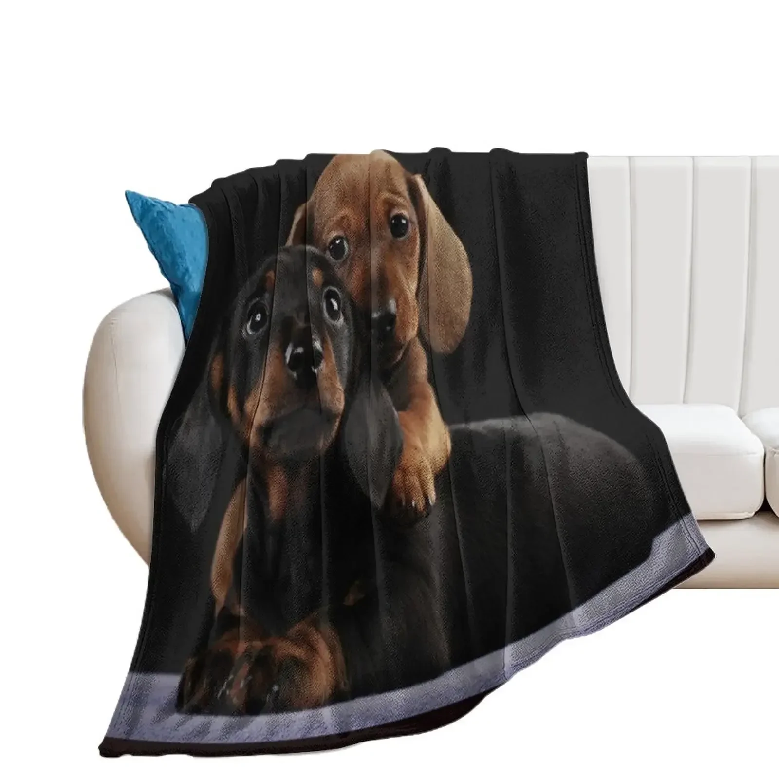 Dachshund Dog portrait photo pupies Throw Blanket Cute Moving Sofa Quilt Luxury Thicken Blankets