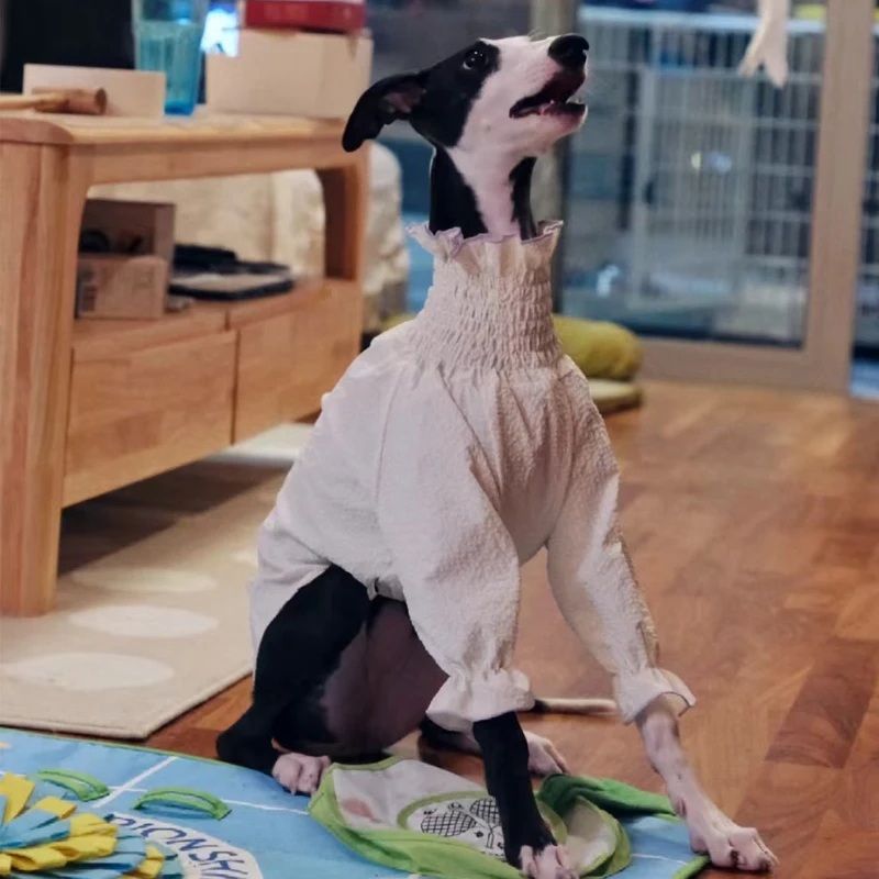 

Spring Summer White Bubble Greyhound Skirt Luxury Princess Dress for Whipbit in Female Puff Sleeves Shirt for Poodle Dog