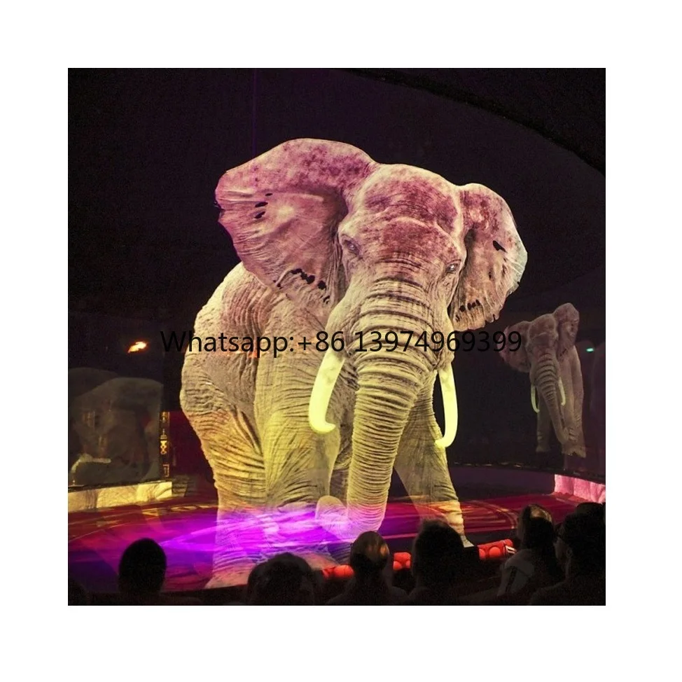 3D Holographic Display Hologram Projector Gauze Mesh Screen for Projection