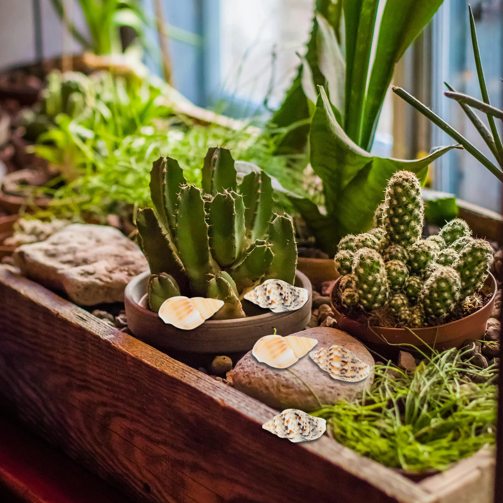 

50 Pcs PVC Beach Photo Props Seashell Decorations for Crafting DIY Projects Ocean Theme Home Decor