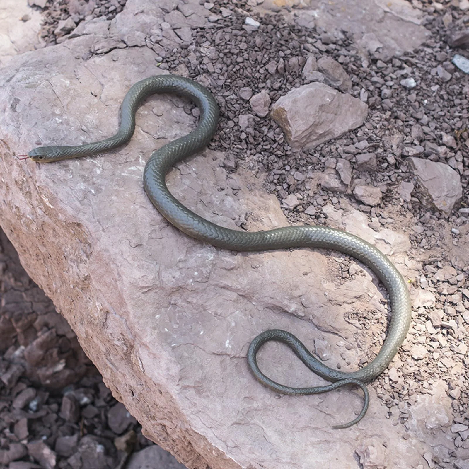 

Fake Snake Rubber Snake Toy, Garden Snake, Tricky Model Snake Toy for Teasing Friends