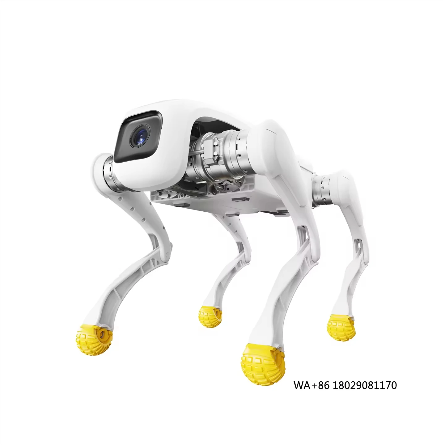 Design Dog Robot AI Electronic Robotic Toy with Metal Construction App Control & Wi-Fi AgiBot D1 Maximum Intelligent 4-Legged