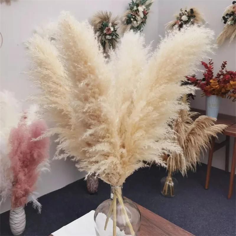 Wedding Decorations 80cm Natural Large Dry Pampas Grass Dried Flower Reed Boho Home Decor Party Background Natural Pampas Grass