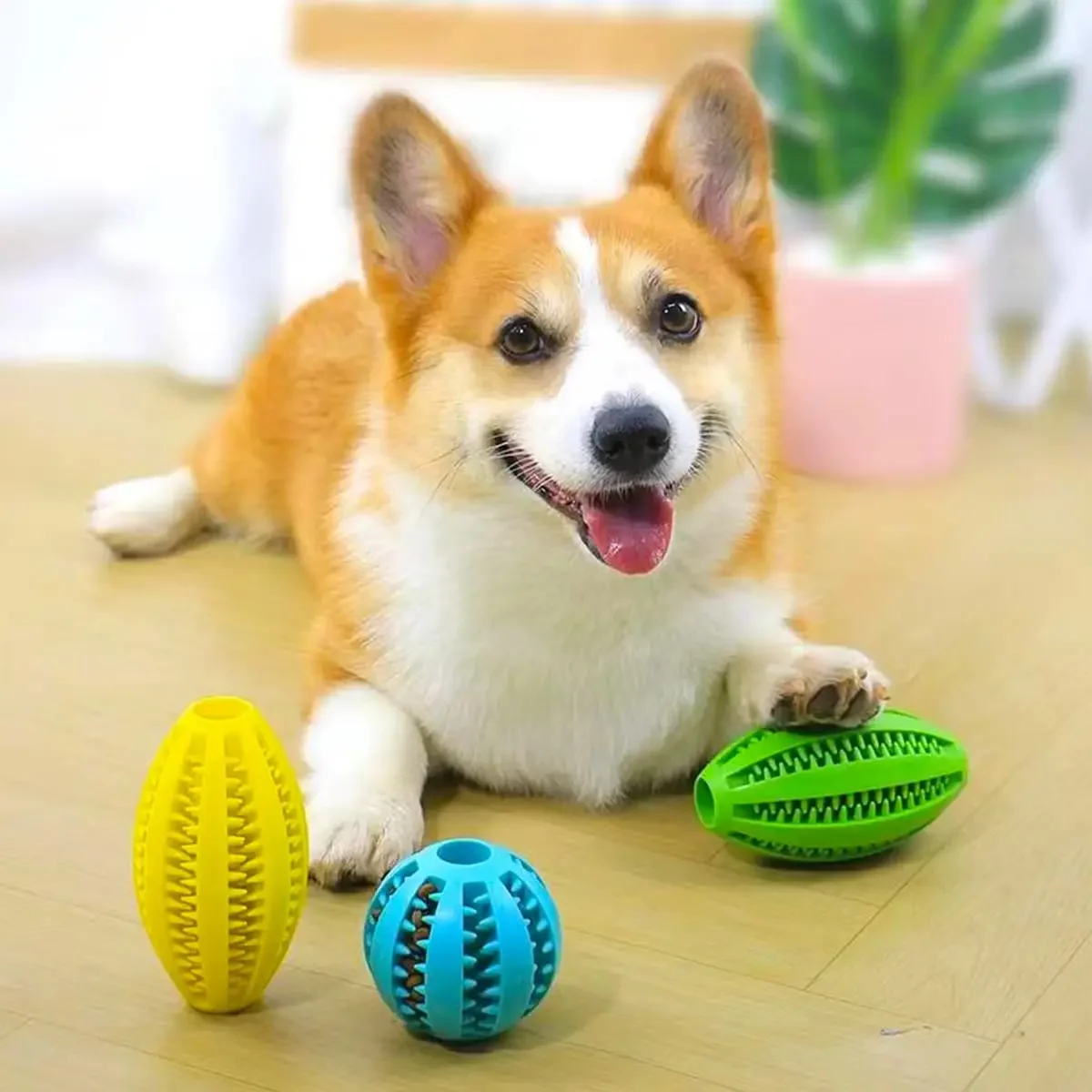 Pet Dog Chew Toys Teeth Cleaning Snack Ball Pet Dog Toy Ball Natural Rubber Super Tough Interactive Bouncy Pet Supplies