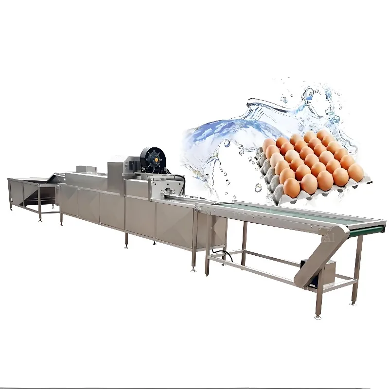 Rapid Production Commercial Egg Washing Machine Customized, Brush Type Automatic Egg Washer with Egg Grading and Drying System