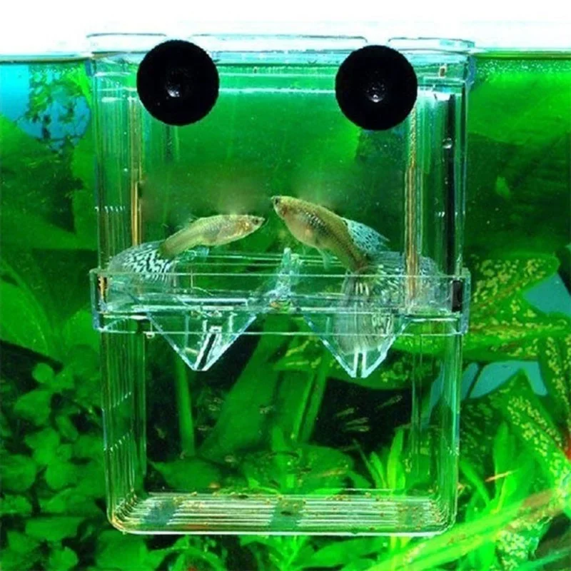 Multifunctional Fish Tank High Definition Fish Breeding Isolation Box Aquarium Breeder Fish Tank Double Guppy Incubator