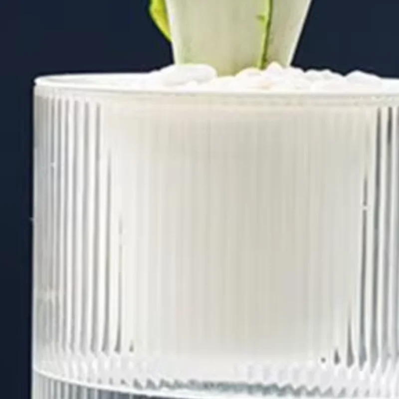 

1/2Pcs Self Watering Pot with Drainage Holes Transparent Indoor Plant Pot Herbs Succulents Flower Planter