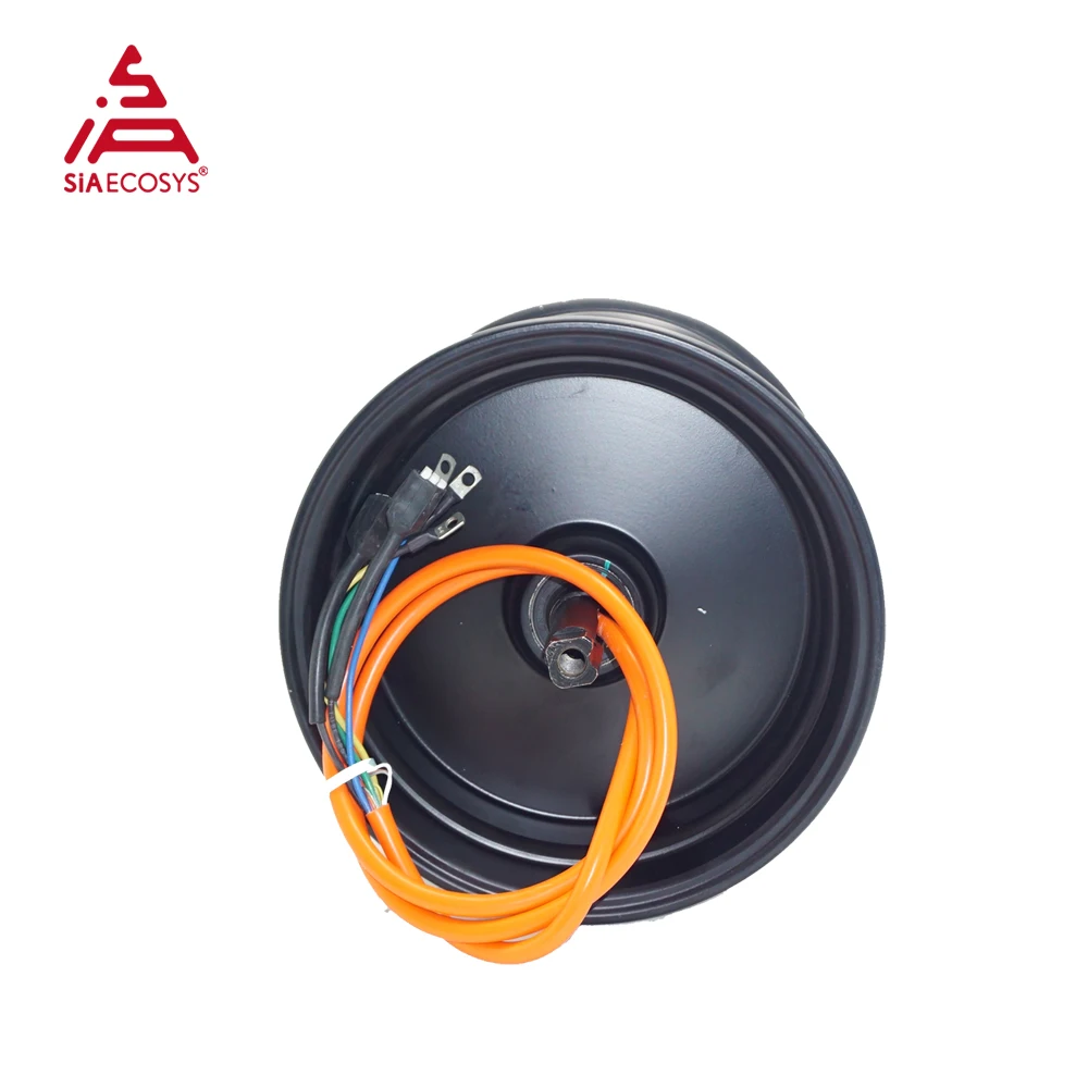 

QS Motor 10x7.0inch 212 2000W Hub moto BLDC Brushless Electric Car Hub Motor