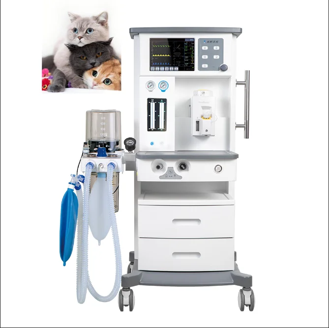 Economic Type Cheap Hospital Pet Vet Animal Machine