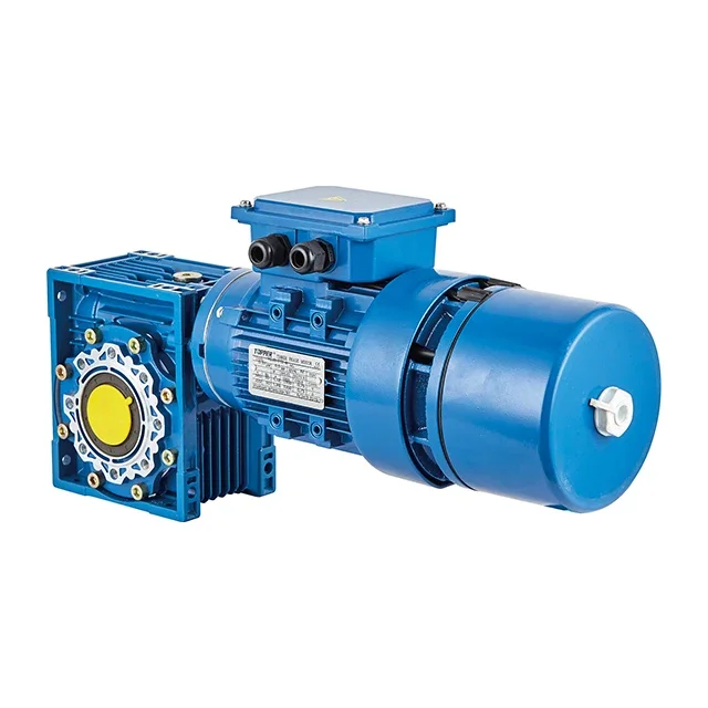 YEJ2 Three Phase 0.55kw Elctromagnrtic-brake Asynchronous Induction Motor with NMRV063 80B5/B14 IEC Input Flange Worm Reducer