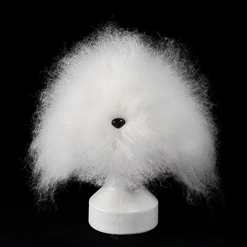 Pet Grooming Practice Head Hair Teddy VIP Bigbear Fake Hair Model Fake Dog Head Hair Fake Back Head Model - Image 6