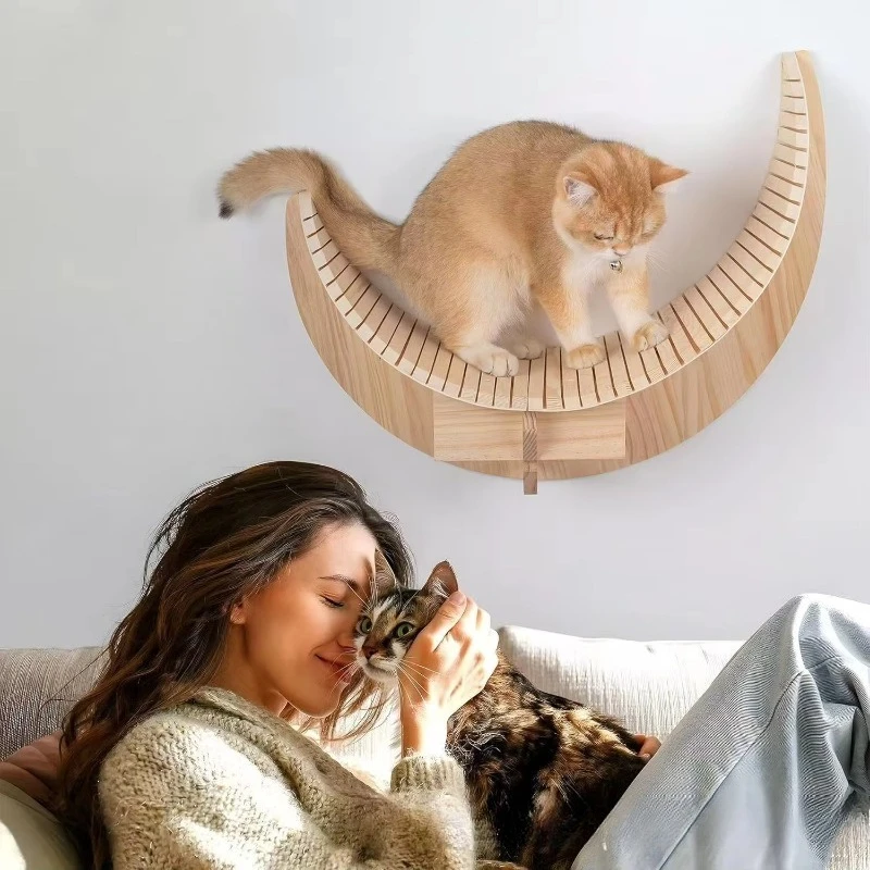 

Modern living room furniture set with foldable sofa and wall-mounted cat furniture