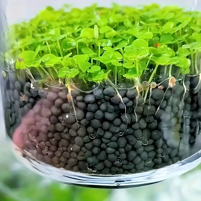 Thumbnail 4 - #43 Ranked Aquarium Decor Picks in 2026