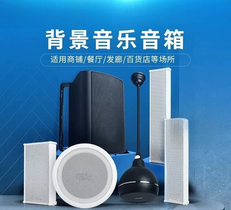 Coaxial Ceiling Speaker Waterproof Wall Mount Pendant Loudspeaker Embedded Public Broadcast Audio For Shop