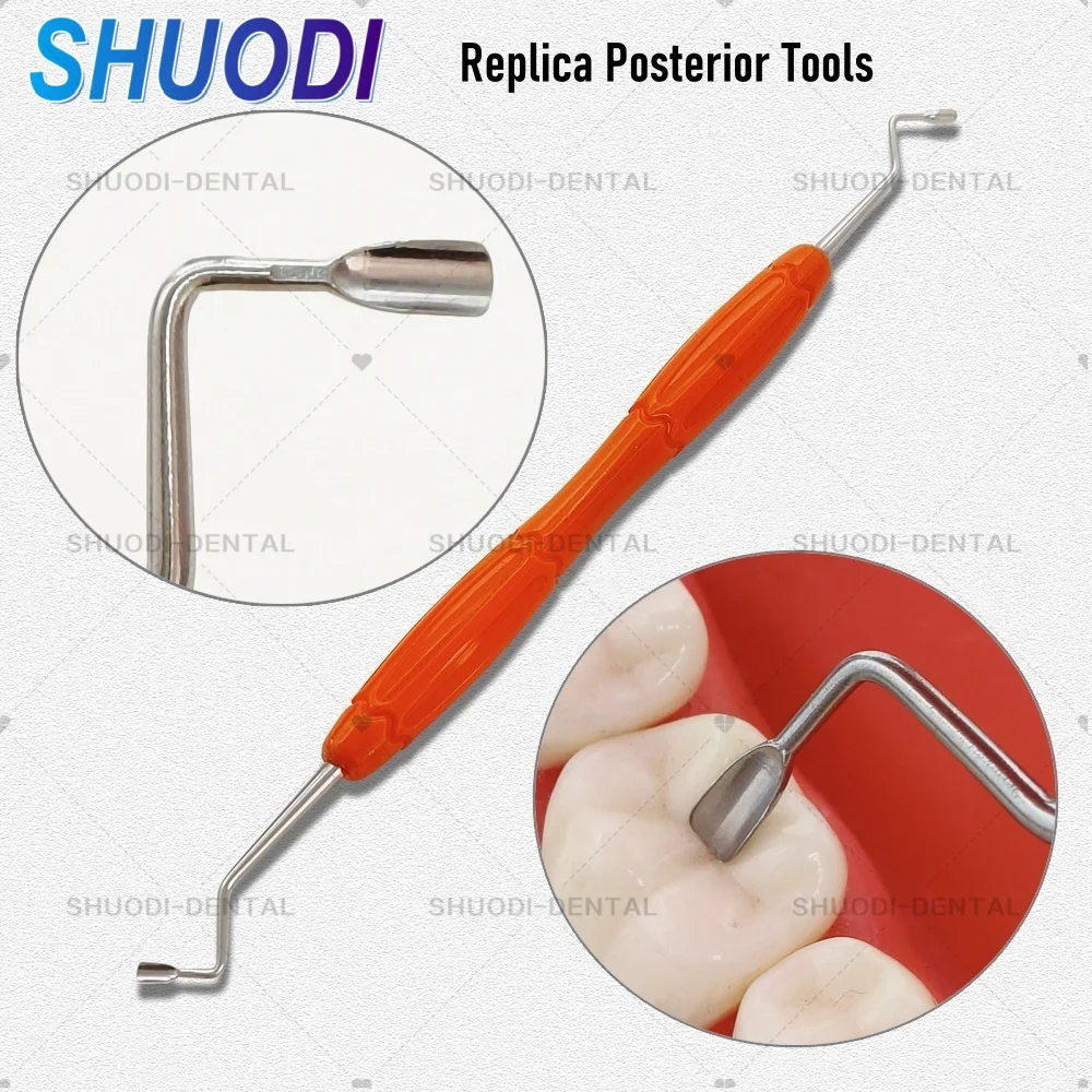 Dental Aesthetic Restoration Tools Replica Posterior for Simplifying Occlusal Modeling of Posterior Silicon Dental Modeling tool