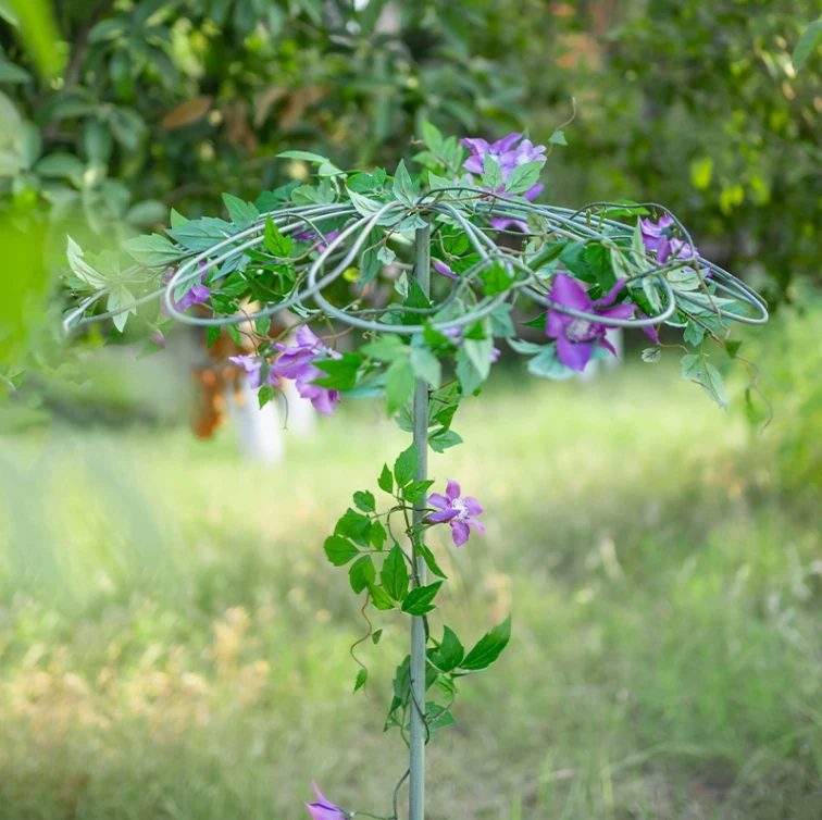 Pastoral Flower Plant Climbing Cane Frame Umbrella Shaped Flower Frame Iron Ornaments Garden Courtyard Climbing Bracket Crafts