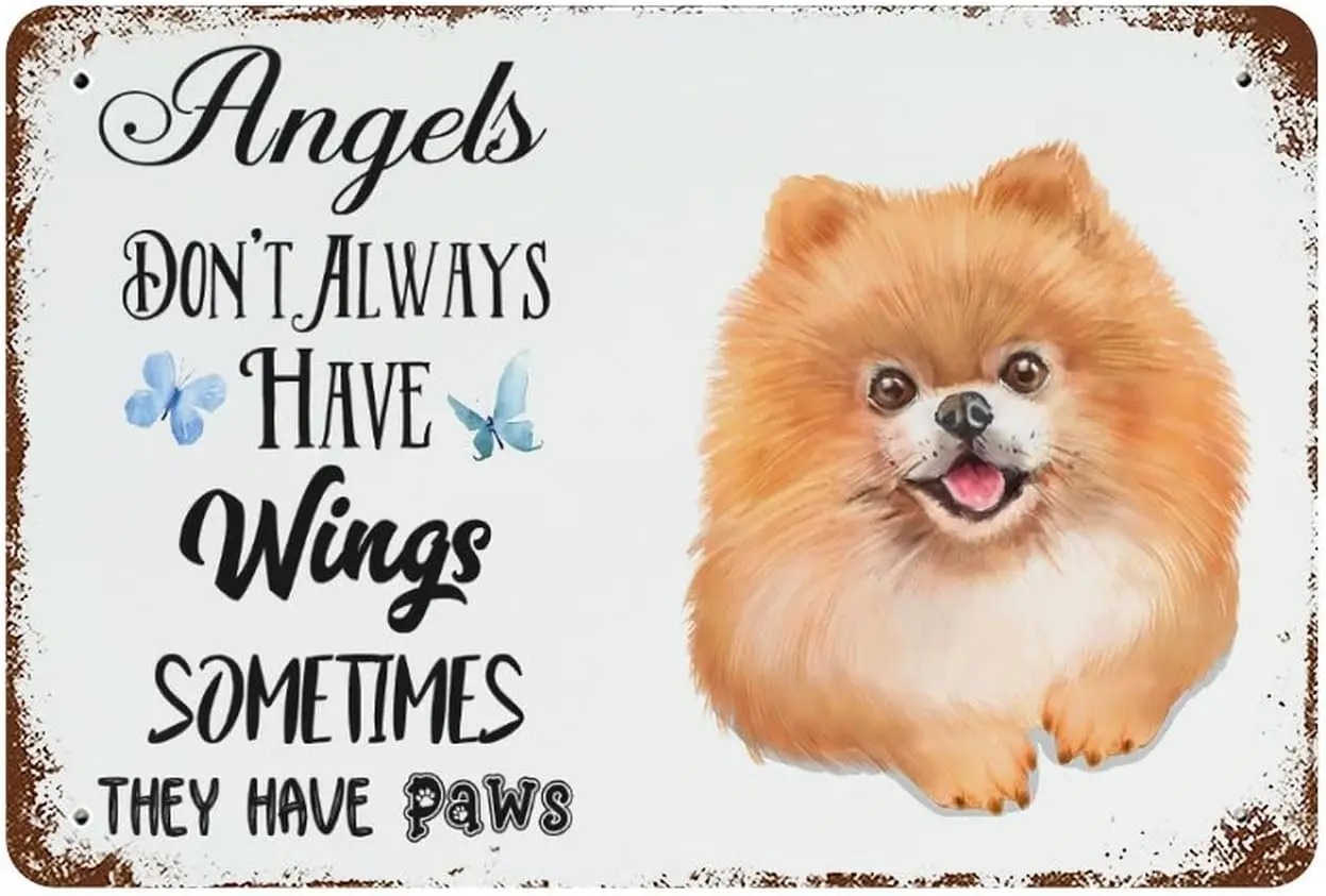 Funny Pomeranian Dog Metal Tin Sign Angels Don't Always Have Wings Sometime They Have Paws Tin Sign Metal Art Holiday Decora