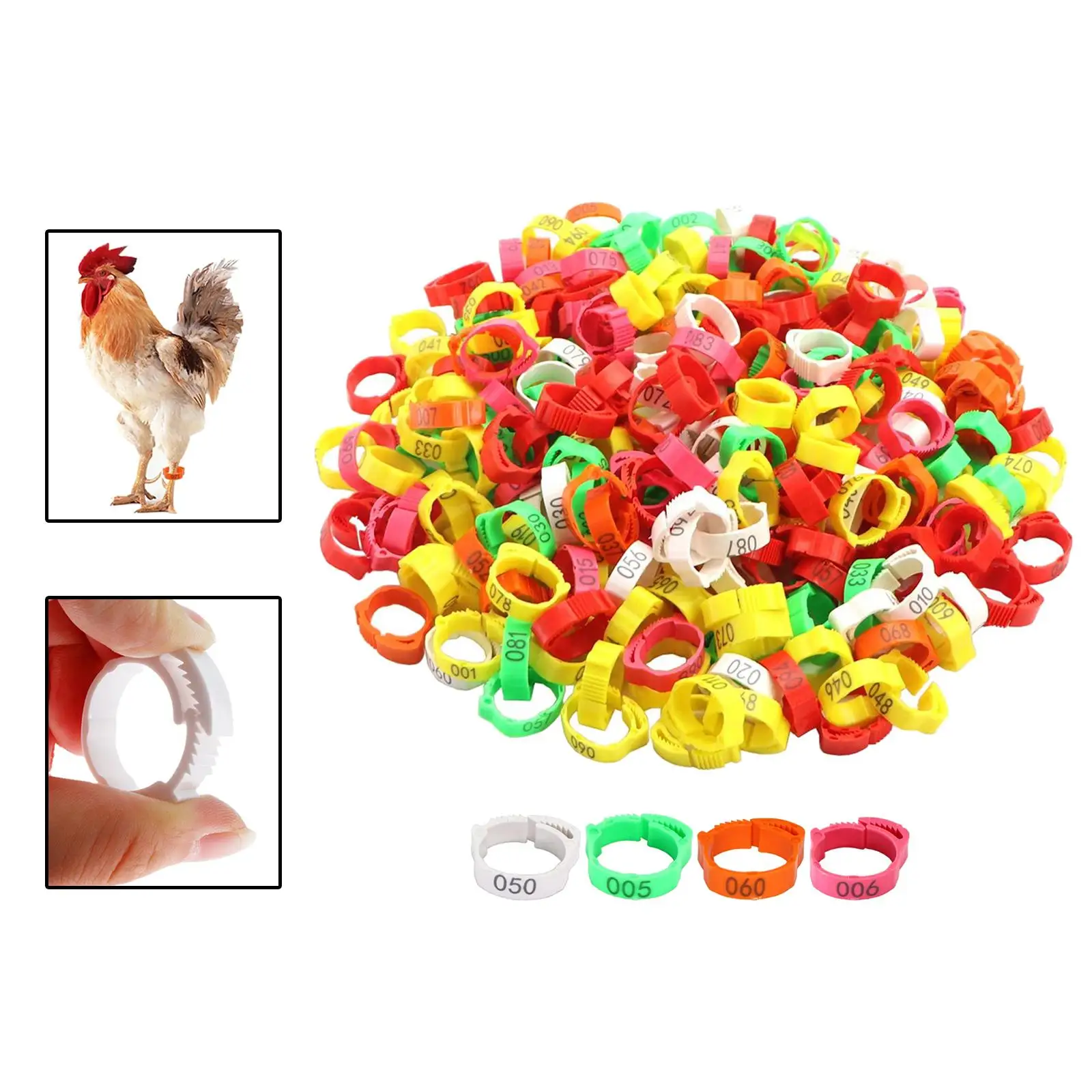 100 Stück Geflügel-Beinbänder, nummerierte Tag-Marker, Hühner-Identifikationsband für Hühner, Enten, Gans, Geflügel-Identifikation, Taube