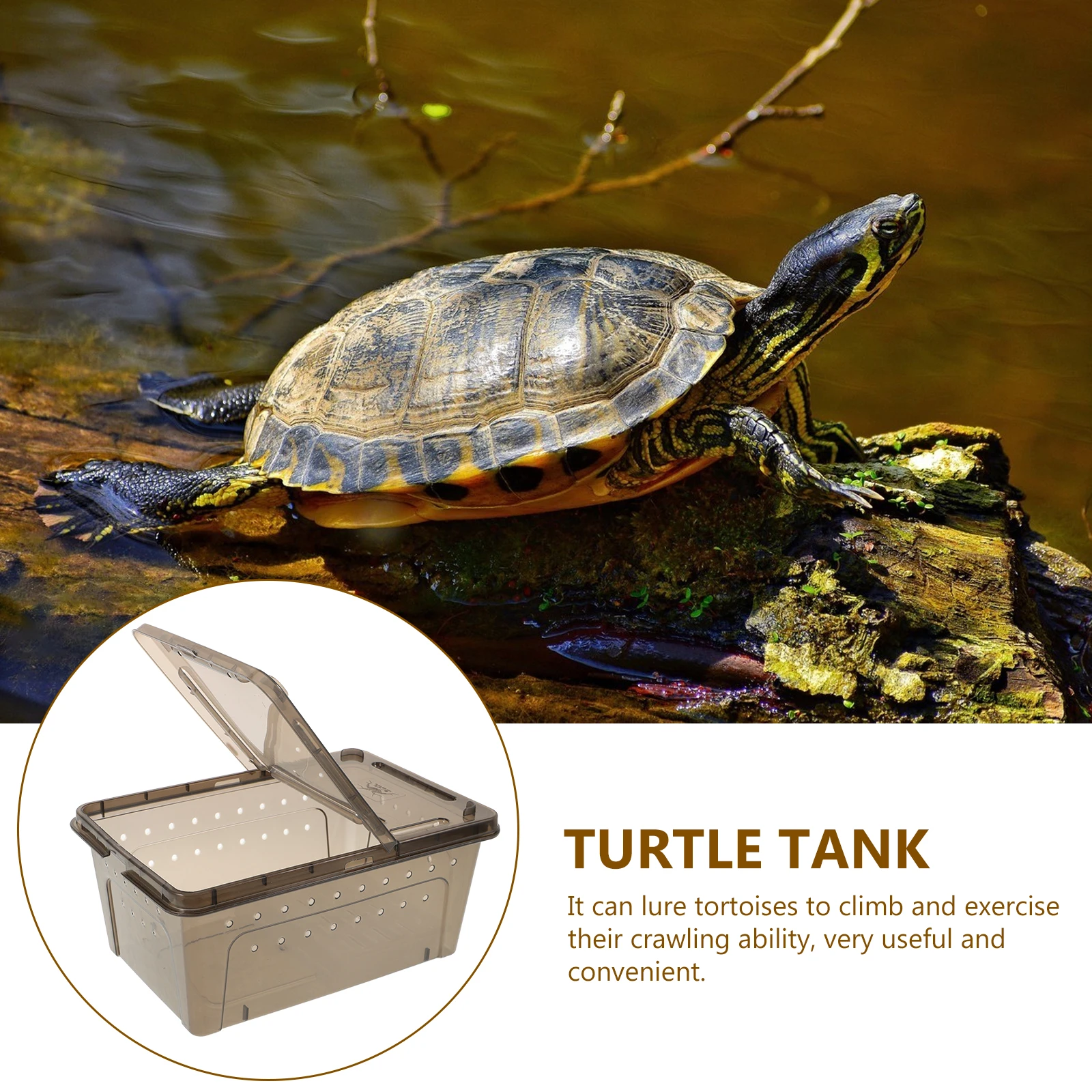 

Turtle Feeding Tank Multi-Function Clear Black Plastic Aquarium Tortoise Habitat Box Reptile Living Tank Indoor Turtle