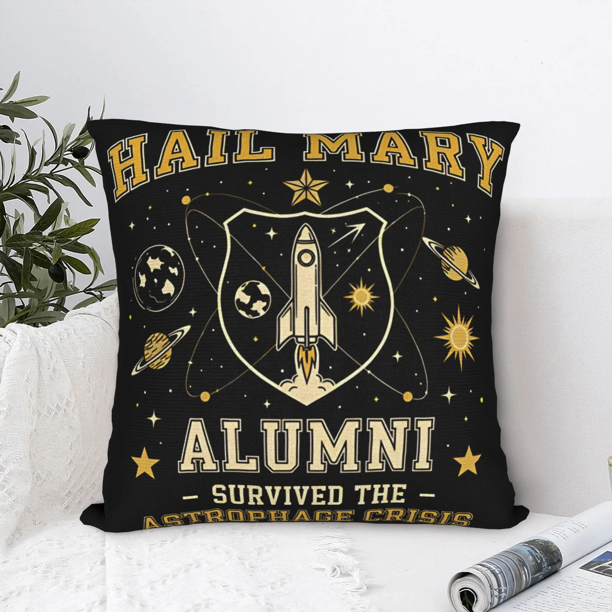 Project Hail Mary Pillow Case  Kawaii Pillow Cover Soft Pillowcases For Wedding Party Home Decor