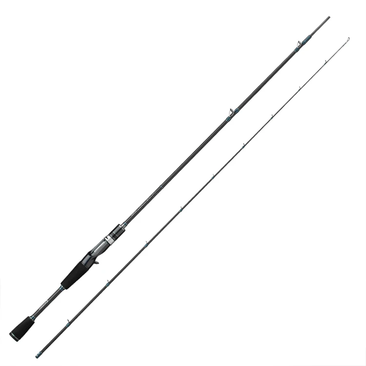 2 Section Black Carbon Freshwater Saltwater Hard Trolling Sea Spinning Casting Carp Lure Fishing Rods