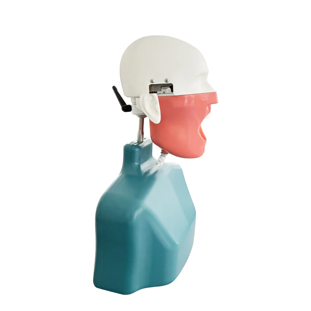 الأسنان الكتف الجسم رئيس نموذج التدريب فانتوم رئيس محاكاة طب الأسنان رئيس نموذج جهاز نموذج للتدريس العملي #3