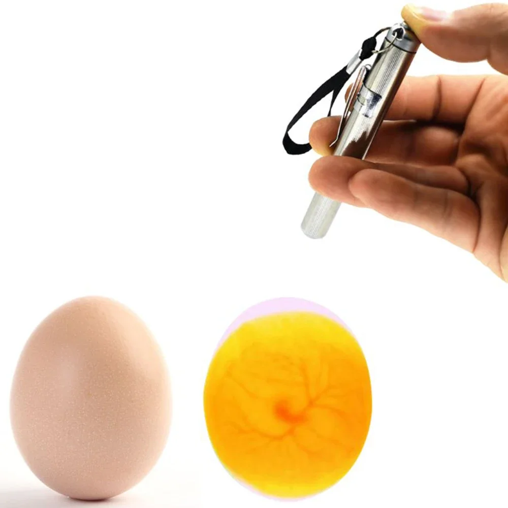 1PC Hatching Egg Mini Tester Egg Candle Light LED Ultra-cold Device Hatching Tool