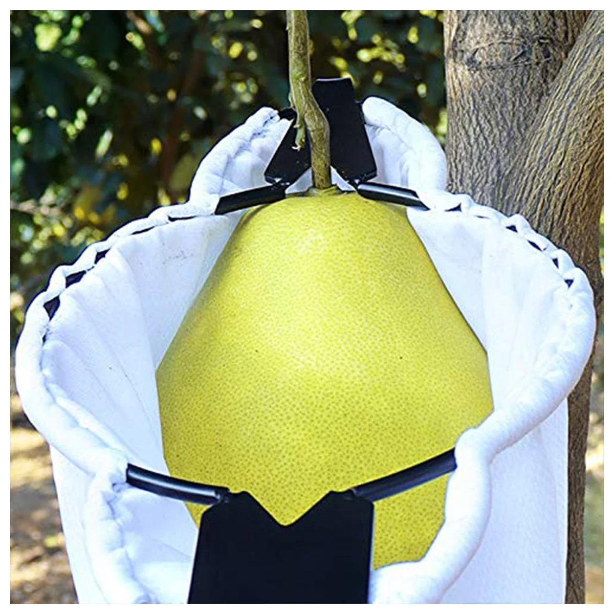 Metal Fruit Picker Orchard Gardening Apple Peach High Tree Picking Tool Big Fruit Catcher Collection Pouch Farm Garden Supplies