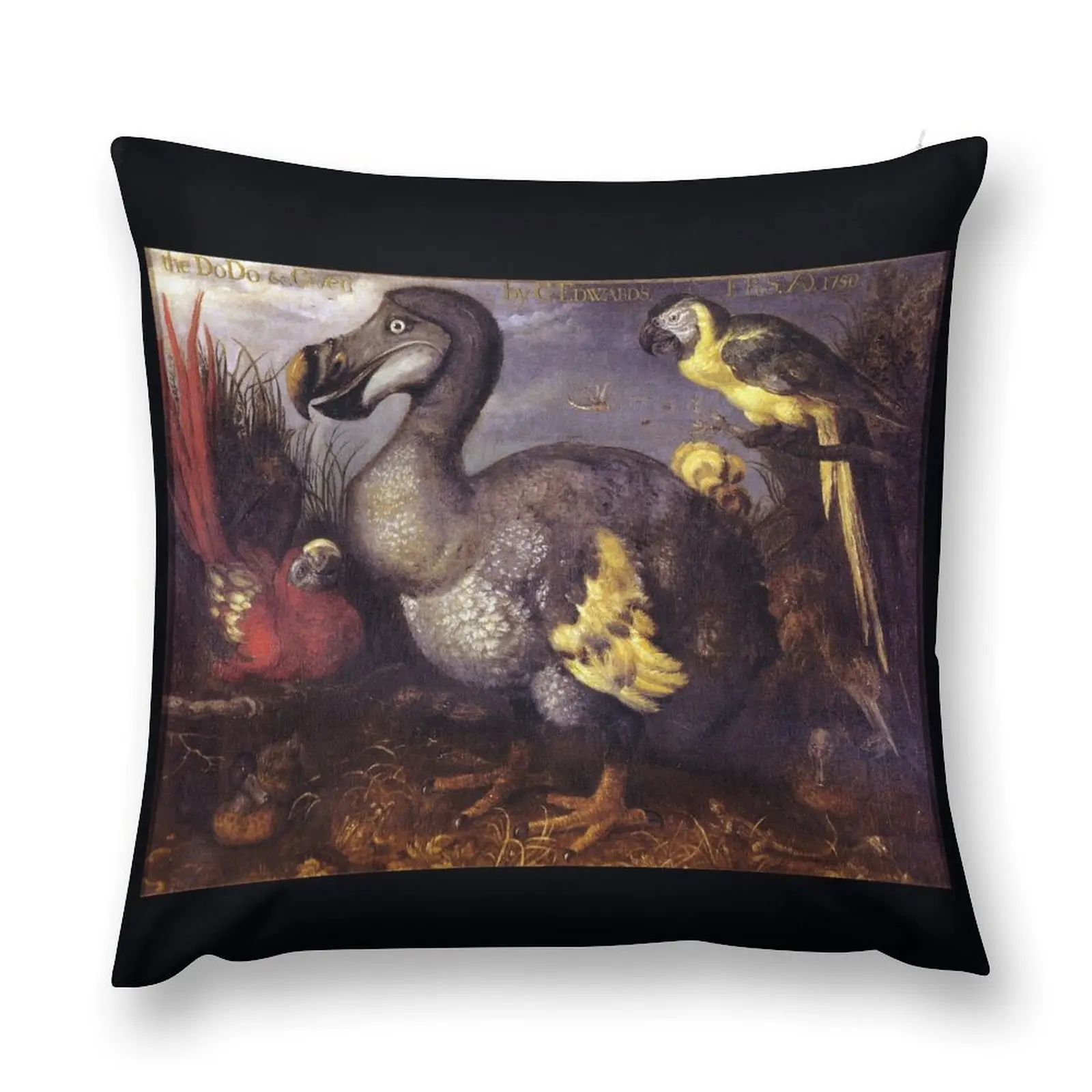 Edwards' Dodo by Roelant Savery Throw Pillow Custom Cushion Throw Pillow Covers Cushions For Sofa Cusions Cover pillow