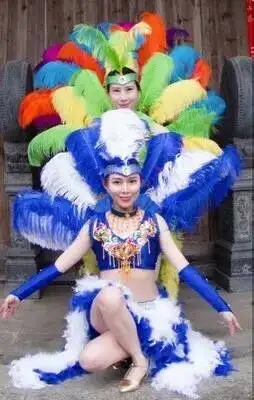 

Одинаковый красочный атмосферный новый костюм для выступлений с перьями, танцевальный костюм для самбы, костюм из страусиного меха