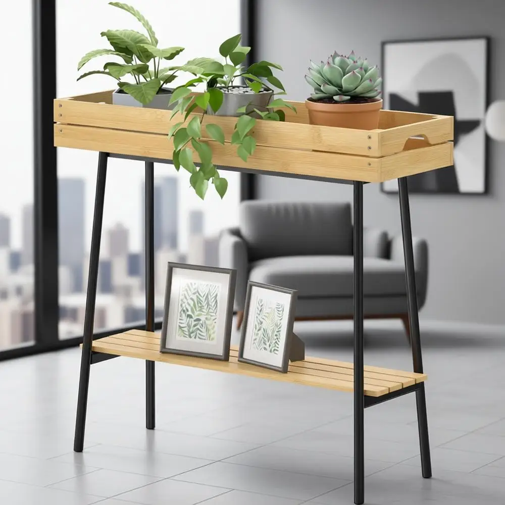 Indoor Bamboo Plant…