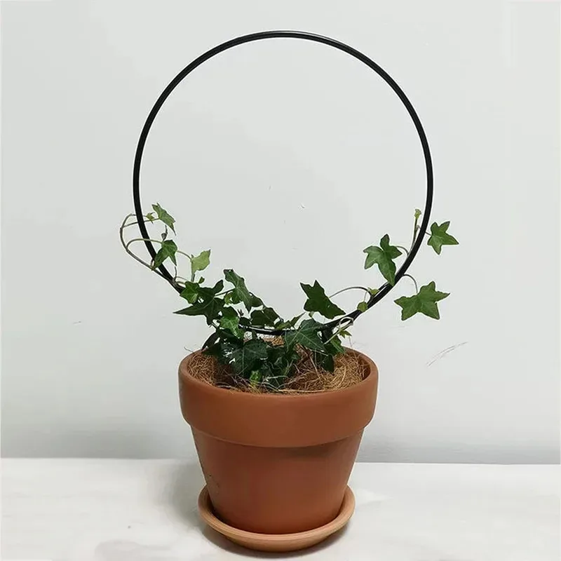 Indoor Flower Vine Decoration Trellis - Black Rust-Proof Iron Climbing Plant Support, Essential Garden Tool for Vines
