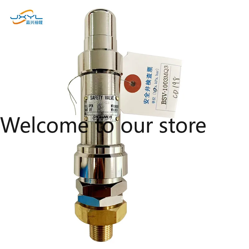 Lugong Safety Valve BSV-1003MQ3 Authorized Distributor For Industrial Air And Inert Gas Compression Equipment