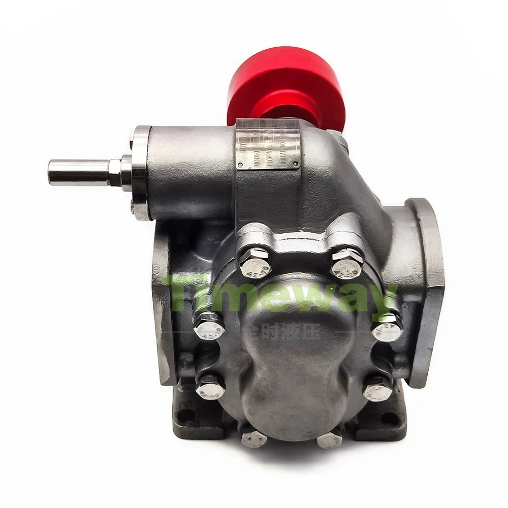 RK135 Hydraulic Gear Pump RK135 SS304 Fuel Gear Pump Oil Transfer Pump Gear Oil Pump