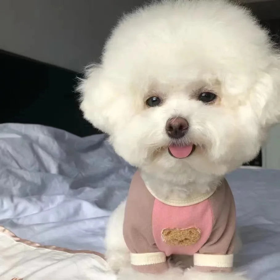 

Pet Summer T-shirt Teddy Cartoon Pullover Bichon Small Dog Patchwork Short Sleeve Soft Dog Clothes Pet Supplies