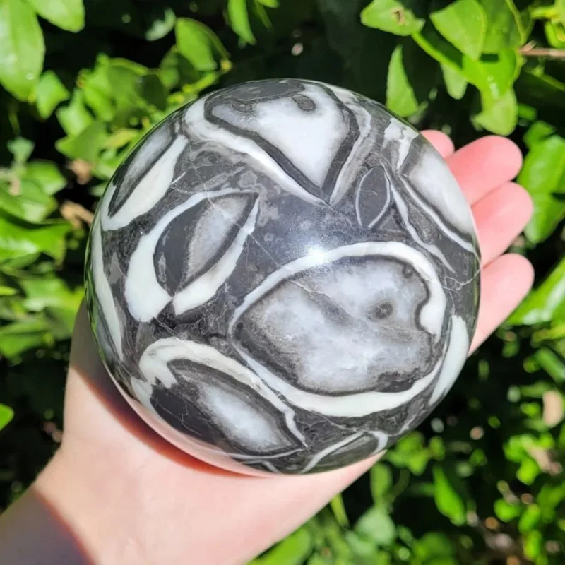 A carefully polished quartz sphere containing fossilized insects , a smooth mineral display for educational purposes