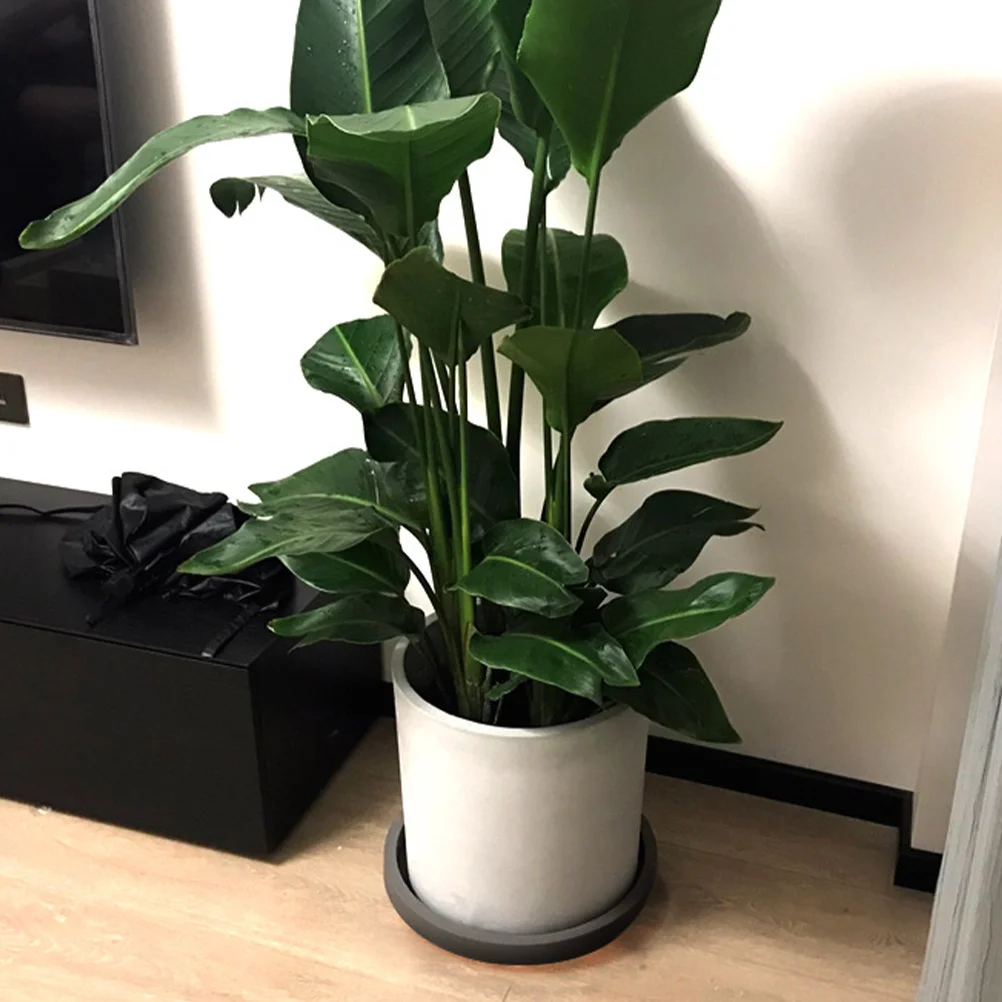 

Round High Hardness Plastic Plant Saucer Tray Prevents Water Leakage Keeps Floor Clean Dry Suitable for Most Plant Pots