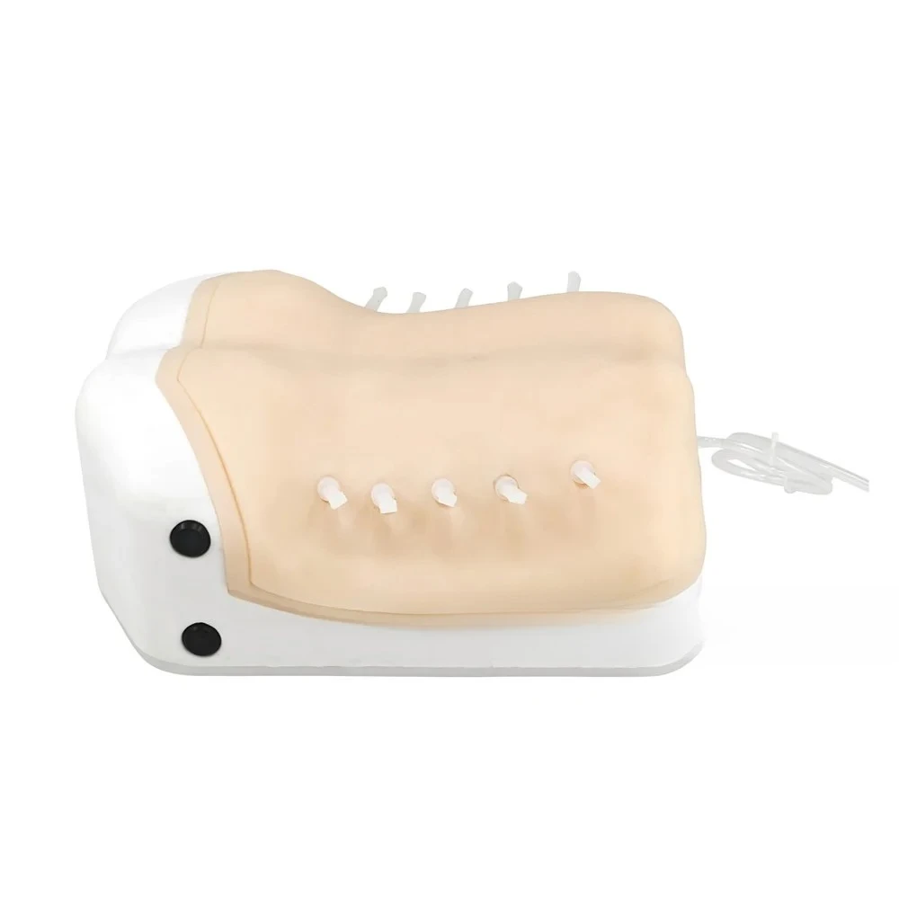 Intervertebral Foramen المنظار التدريب UBE الجراحي محاكي التشغيل تحت الماء المنظار عالي الدقة ثنائي الغرض