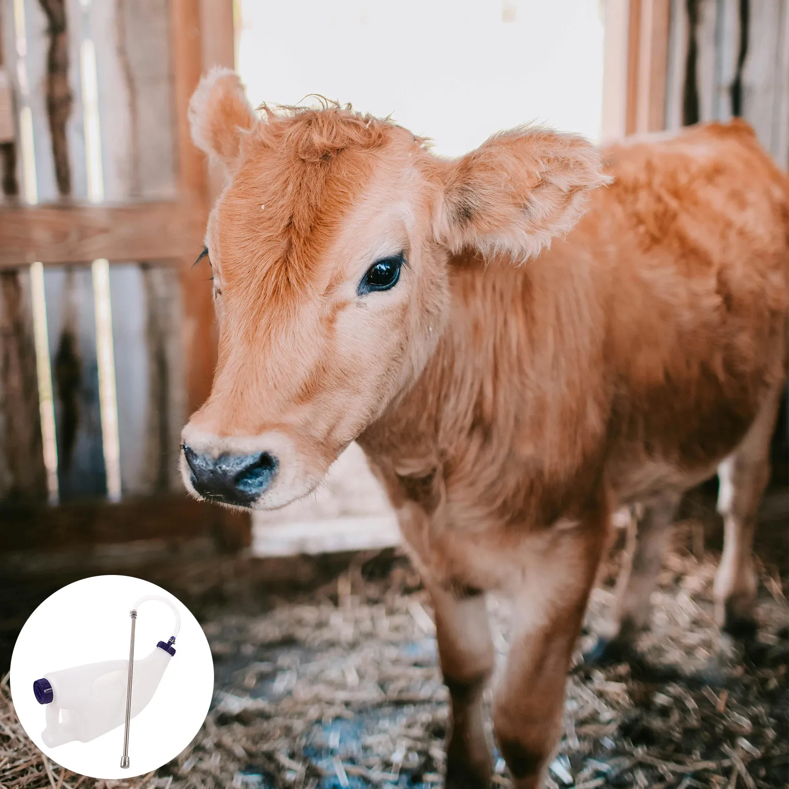 

Бутылка-поилка для телят, ягнят, коз объемом 4 л с ручкой для быстрого и легкого введения молозива, молока, воды для фермерских хозяйств и животноводства