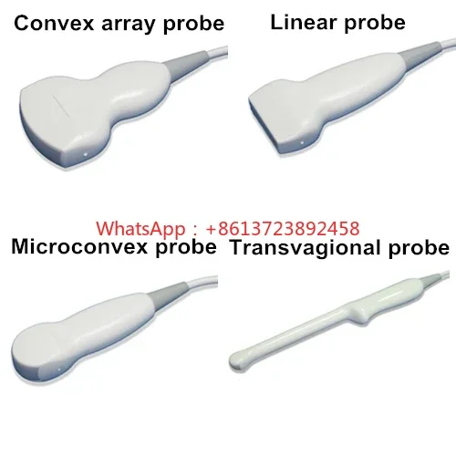 

Black and White Digital Ultrasound Accessory USG Scanner Probe Only