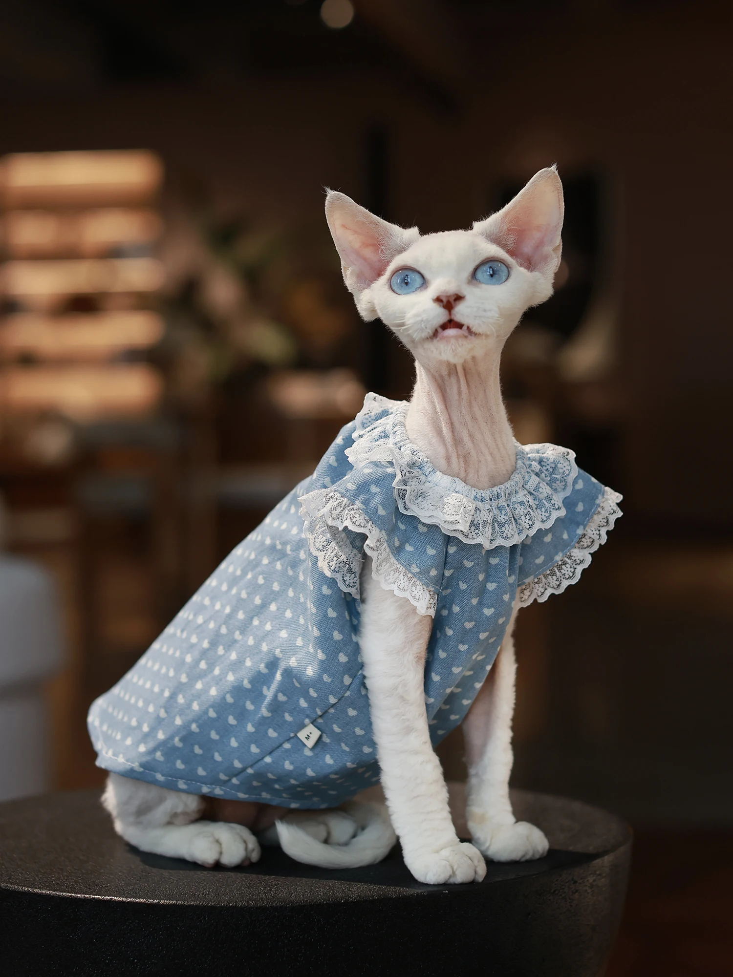 Soft Cotton Polka Dot Dress for Sphynx Cat Sleeveless Blue Skirt for Female Cats Sweet Princess Vest For Devon Rex Cat Supplies