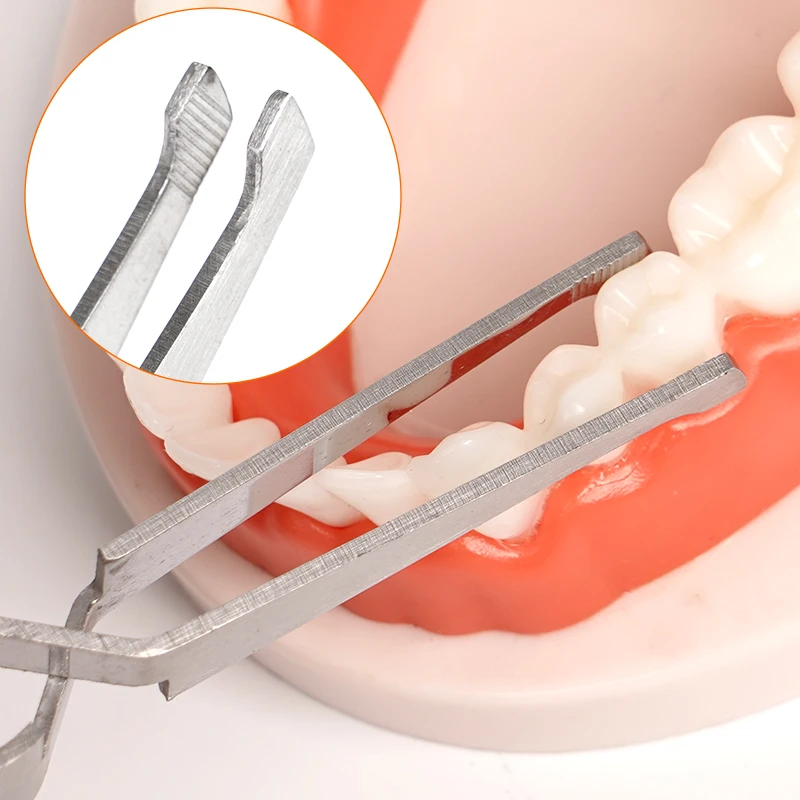 

1 шт., стоматологические щипцы, щипцы для удаления зубов мудрости, стоматологические инструменты, стоматологические инструменты из нержавеющей стали, стоматологические инструменты