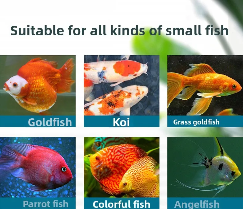 Banzibanhong All-Purpose Fish Food, Floating Small Pellets for Goldfish, Koi, Guppies & Tropical Fish, Clear Water Formula view 6