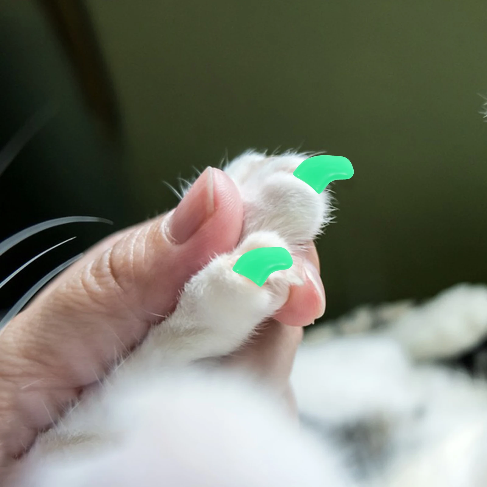 

20 PCS Cat Nail Kit Nails Cover Claw Clips Accessories Soft Rubber Tips for Claws Tpr