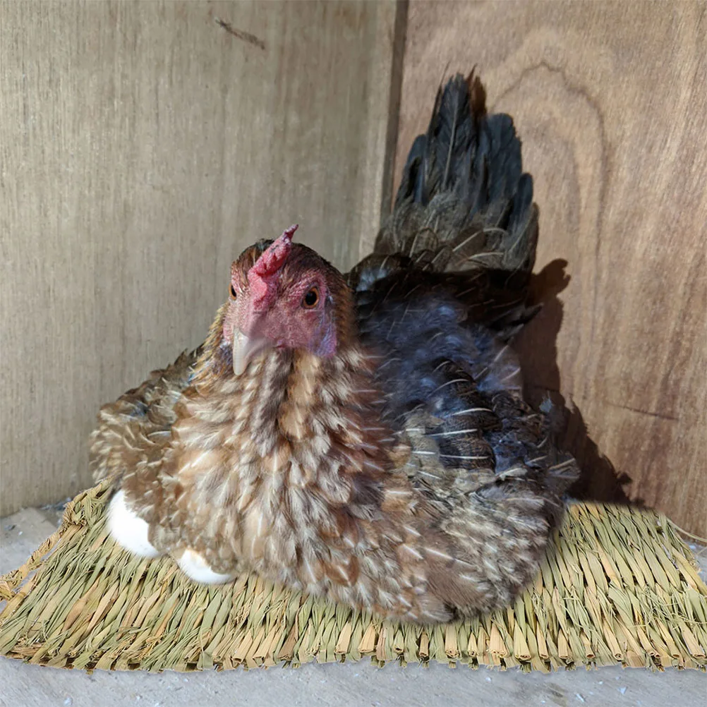 

4pcs Straw Nesting Mats Chicken Coop Breathable Egg Laying Pads Durable Fiber Cushion Pet Rabbit Hamster Nest Box Liners Safe