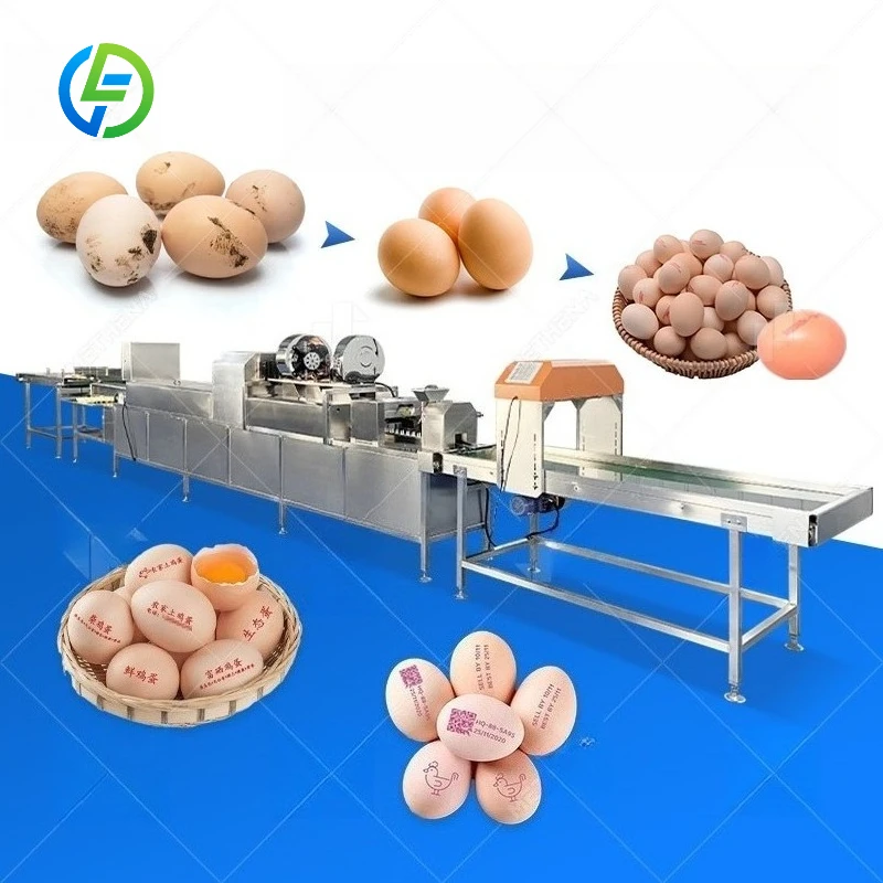 FL Customized Large Capacity Continuous Egg Washing Machine Industrial Complete Egg Washing Line For Egg Factory